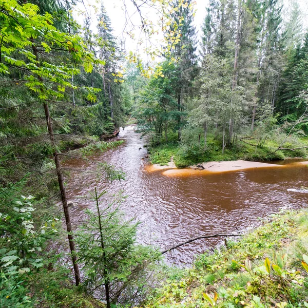 Met het oog op de berg rivier met Flowing Water stroom en sandsto — Stockfoto