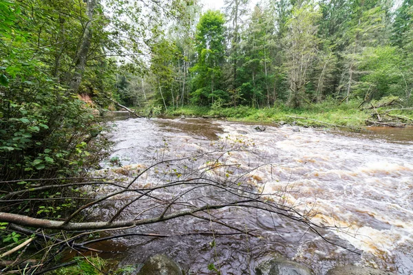 Vista al río de la montaña con corriente de agua y arenassto —  Fotos de Stock