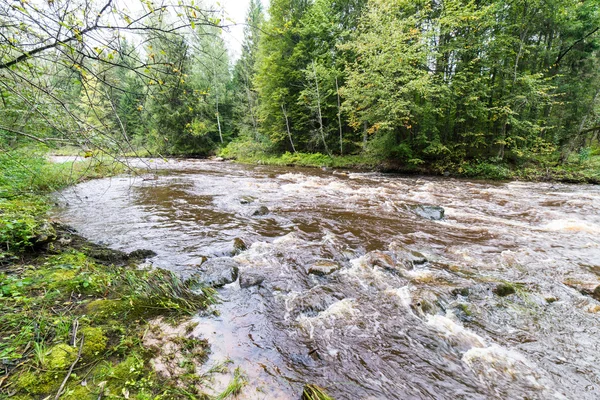 Met het oog op de berg rivier met Flowing Water stroom en sandsto — Stockfoto