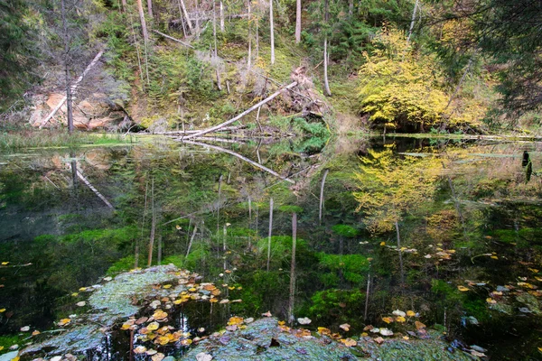 Altes Flussufer mit Spiegelungen im Wasser — Stockfoto