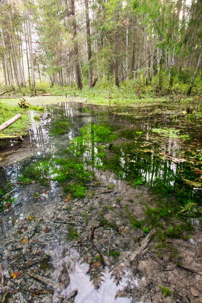 Gamla flodstranden med reflektioner i vatten — Stockfoto