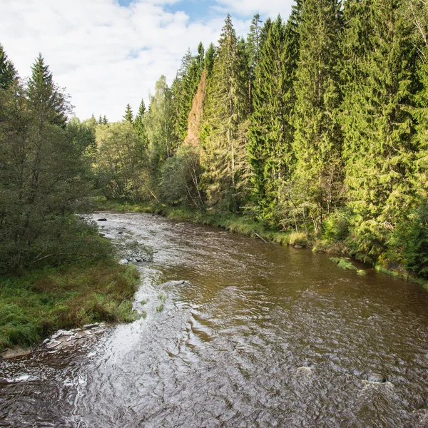 Vue sur la rivière de montagne avec le courant d'eau et le sable — Photo