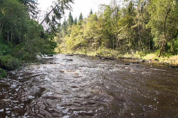 Vista sul fiume Montagna con torrente d'acqua che scorre e sabbia — Foto Stock