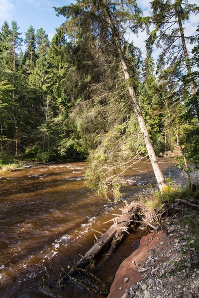 Met het oog op de berg rivier met Flowing Water stroom en sandsto — Stockfoto