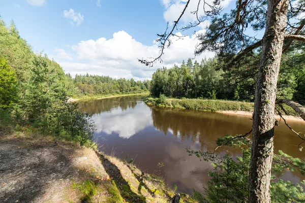 Vista sul fiume Montagna con torrente d'acqua che scorre e sabbia — Foto Stock