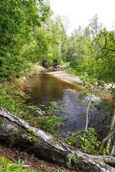 Met het oog op de berg rivier met Flowing Water stroom en sandsto — Stockfoto