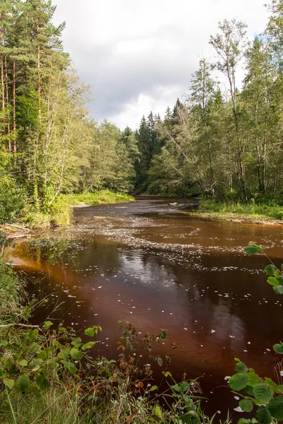 Met het oog op de berg rivier met Flowing Water stroom en sandsto — Stockfoto