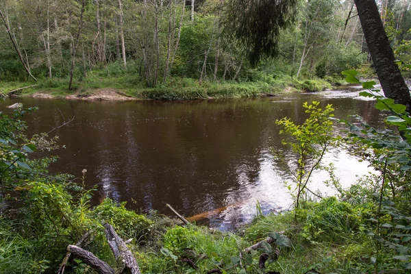 Vista sul fiume Montagna con torrente d'acqua che scorre e sabbia — Foto Stock