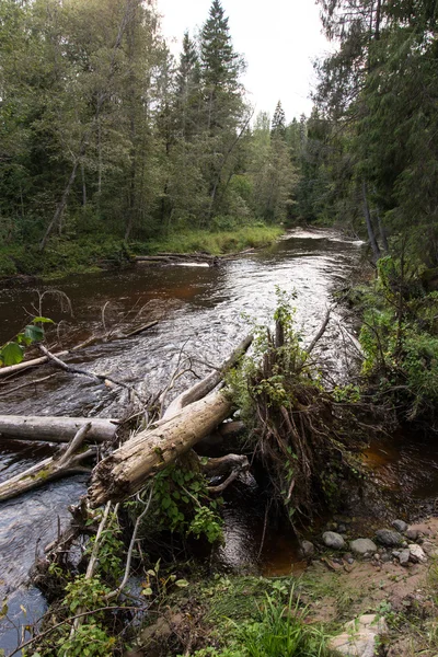 Vue sur la rivière de montagne avec le courant d'eau et le sable — Photo