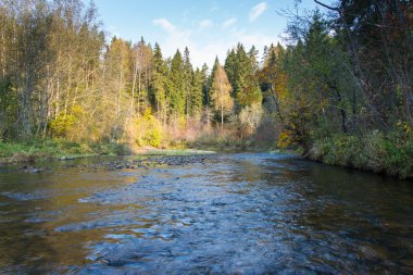 dağ nehir kayalar ve kumtaşı