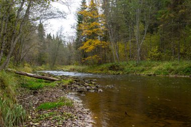 dağ nehir kayalar ve kumtaşı