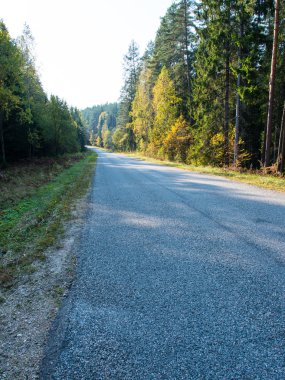 Güneş yansımaları ile ıslak asfalt yol