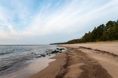 Baltık Denizi plaj kayalar ve kum tepeleri ile kıyı
