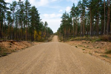 ülke stabilize yol ormandaki