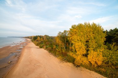 denize Baltık kıyısındaki havadan görünümü plaj kayalar ile ve 
