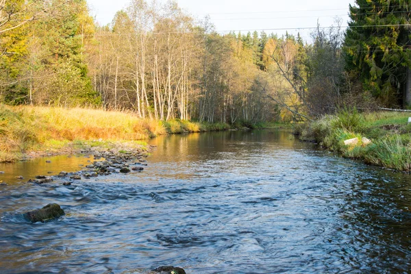 Mountain river with rocks and sandstones — Stock Photo, Image