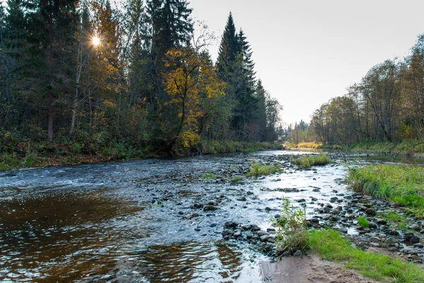 Rivière de montagne avec rochers et grès — Photo