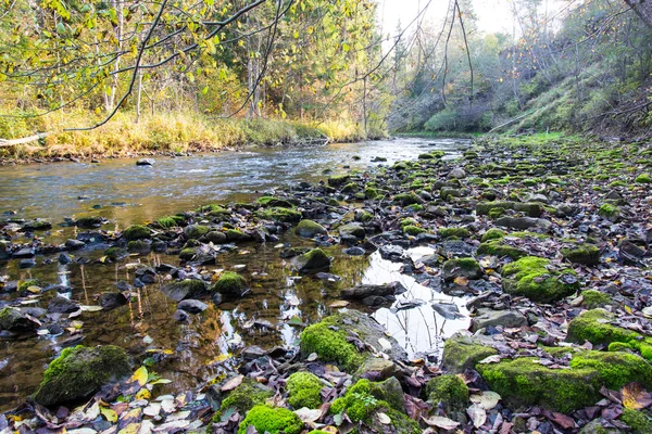 Rio de montanha com rochas e arenitos — Fotografia de Stock