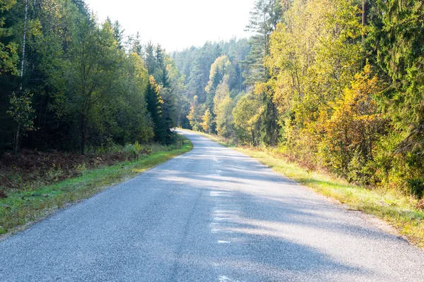 Wet asphalt road with sun reflections — Stock Photo, Image