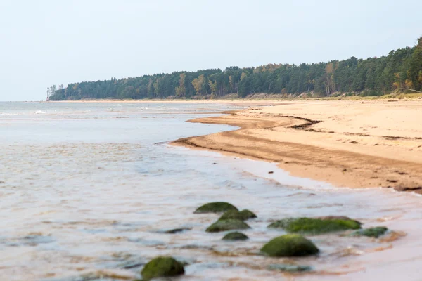 Rivage de la mer Baltique plage avec rochers et dunes de sable — Photo