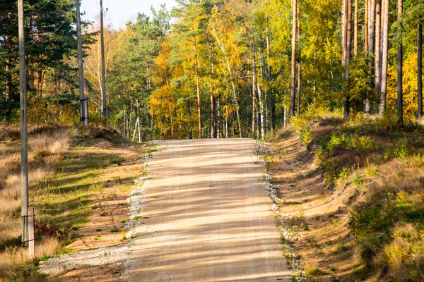 Country gravel road in the forest — Stock Photo, Image