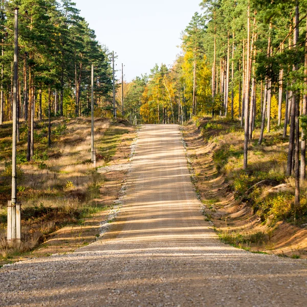 Route de gravier de campagne dans la forêt — Photo