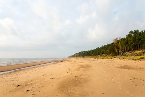 Orilla de la playa del mar Báltico con rocas y dunas —  Fotos de Stock