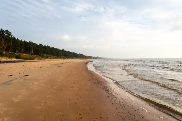 Kustlijn van Baltische Zee strand met rotsen en duinen — Stockfoto