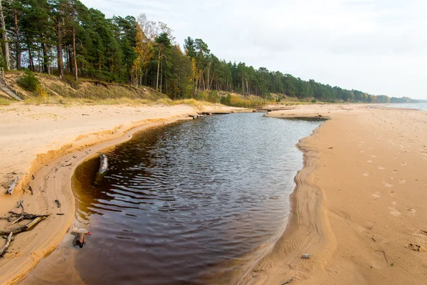 Ακτογραμμής της Βαλτικής Θάλασσας παραλία με βράχια και αμμοθίνες — Φωτογραφία Αρχείου