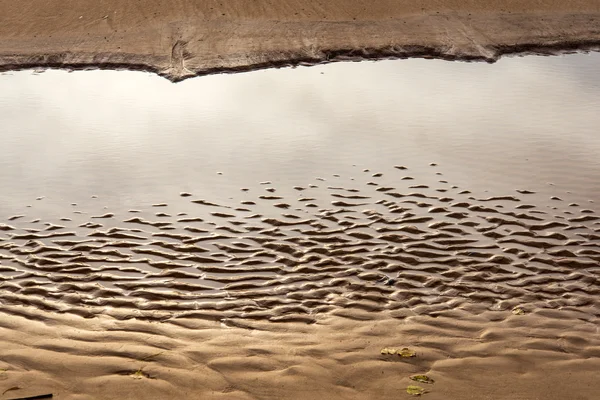 Orilla de la playa del mar Báltico con rocas y dunas — Foto de Stock