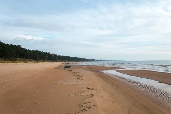 Partvonal Balti-tenger strand sziklák és homok dűnék — Stock Fotó