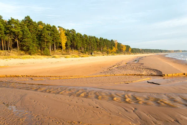 Partvonal Balti-tenger strand sziklák és homok dűnék — Stock Fotó