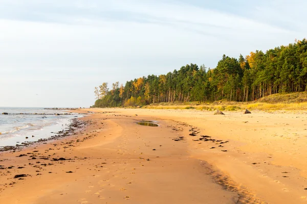 Береговая линия пляжа Балтийского моря со скалами и песчаными дюнами — стоковое фото