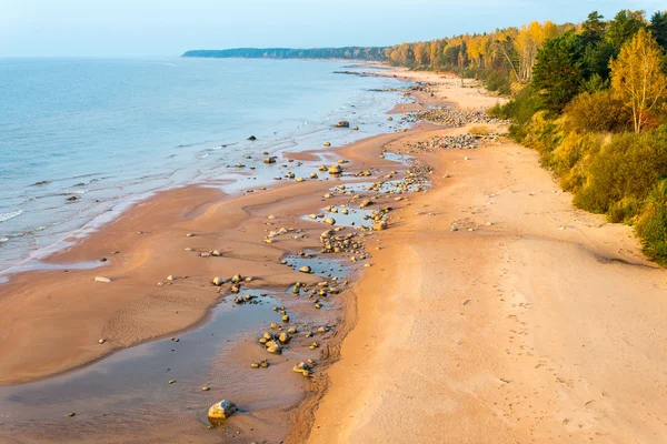 Vista aérea a la costa de la playa del mar Báltico con rocas y —  Fotos de Stock