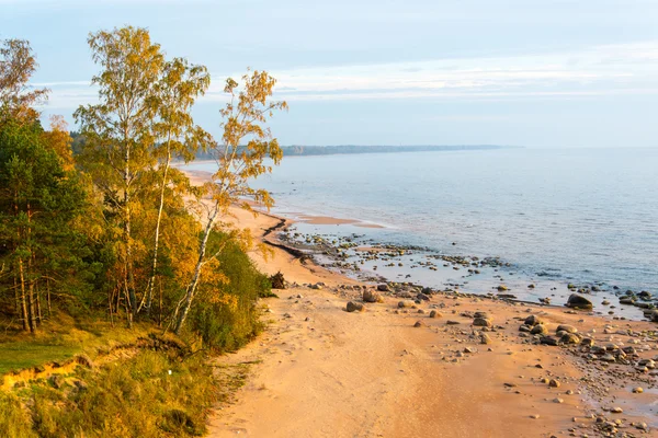 A légi felvétel a partvonal Balti-tenger strand sziklák és — Stock Fotó