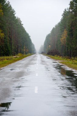 Güneş yansımaları ile ıslak asfalt yol