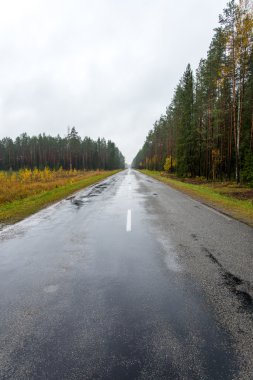 Güneş yansımaları ile ıslak asfalt yol