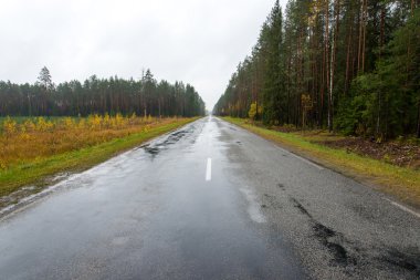 Güneş yansımaları ile ıslak asfalt yol