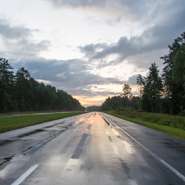 Natte asfaltweg met reflecties van de zon — Stockfoto