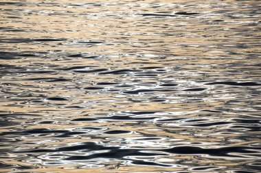 renkli sonbahar manzara soyut yansıması