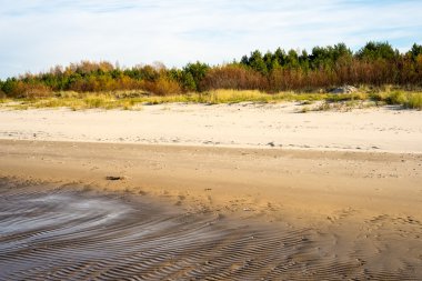 ilk buz parçaları ile buzlu deniz plaj