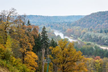 ülkede doğal sonbahar renkli Nehri
