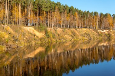 ülkede doğal sonbahar renkli Nehri