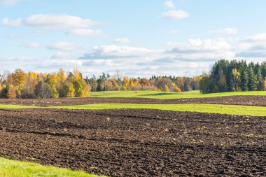 ülkenin ağaçları ile yeşil alan