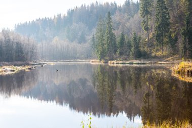 ülkede doğal sonbahar renkli Nehri