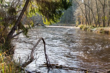 ülkede doğal sonbahar renkli Nehri