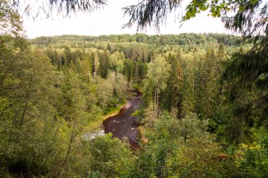 sonbahar manzara panoramik