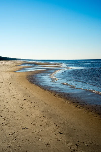 Playa de mar helada con las primeras piezas de hielo — Foto de Stock