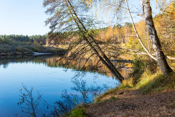 Festői őszi színes folyó országban — Stock Fotó