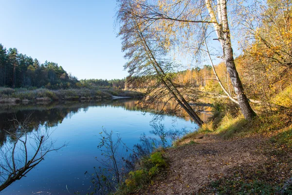 Festői őszi színes folyó országban — Stock Fotó